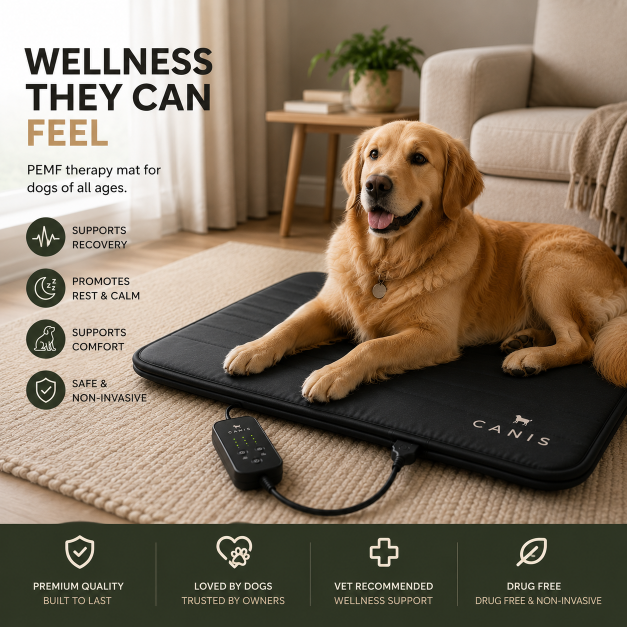 CANIS 1 — tPEMF Recovery Mat for Dogs