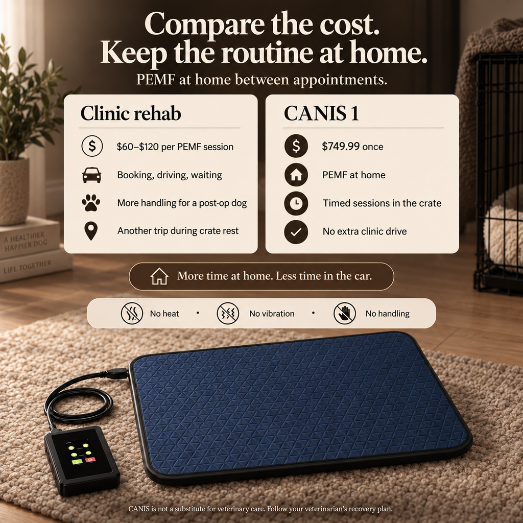 CANIS 1 — PEMF Recovery Mat for Dogs