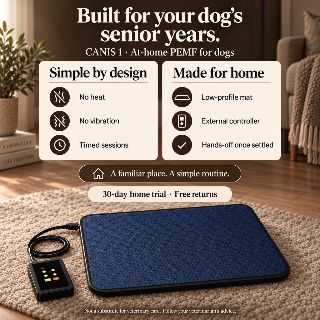 CANIS 1 — PEMF Recovery Mat for Senior Dogs