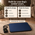 CANIS 1 — PEMF Recovery Mat for Senior Dogs