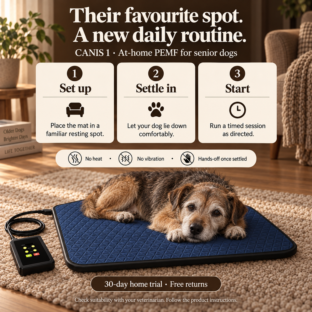 CANIS 1 — PEMF Recovery Mat for Dogs