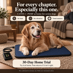 CANIS 1 — PEMF Recovery Mat for Senior Dogs