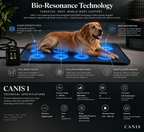 CANIS 1 — PEMF Recovery Mat for Senior Dogs