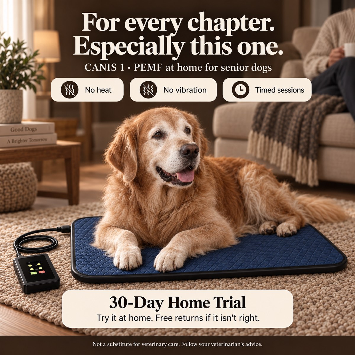 A senior golden retriever with a grey muzzle resting near the CANIS 1 mat in a cozy living room.